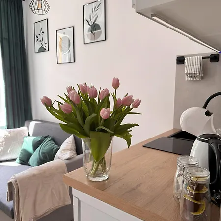 Loft Apartment