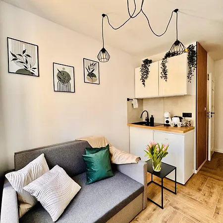 Loft Apartment *